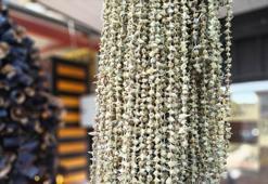 Ramazan'ın gözdesi sofraların vazgeçilmezlerinden bamya tezgahlarda: İşte kilogram fiyatı