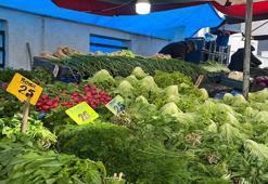 Eskişehir'de seraları don vurdu, etiketler uçtu! Pazarda fiyatlar 2 katına çıktı