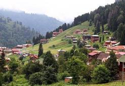 Trabzon, Rize, Artvin, Giresun'da tehlike başladı! Köylüler diken üstünde: Her an karşımıza çıkabilir