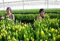 Sadece suyla rengarenk üretiliyor! Piyasayı altüst etti: Taleplere yetişemiyorlar