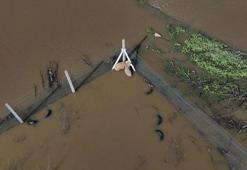 Edirne'de Meriç Nehri taştı; hayvanlar tahliye edildi, çiftçi malını kurtardı