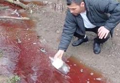 İstanbul'da tedirginlik yaratan görüntü! Rengi kırmızıya döndü