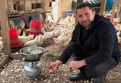 Ordulu üreticinin yöntemi şaşkına çevirdi! İnternette gördü, verim arttı