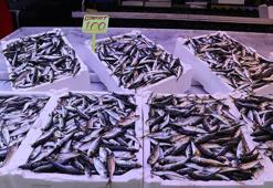 Hamsi gitti, istavrit geldi! Rize Balıkçı Pazarı'nda vatandaşın yeni favorisi belli oldu