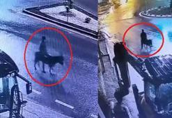 Kayseri’de forkliftli eşekli kuyumcu soygunu! Olay yerinden eşekle kaçan şüpheli kameraya böyle yansıdı