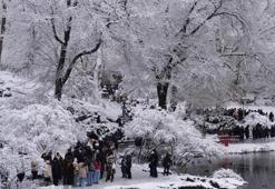 Soğuk hava nedeniyle New York’ta 18 kişi hayatını kaybetti