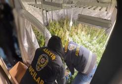 Avcılar'da metruk binada bulundu: Tüm İstanbul'a satılıyor!