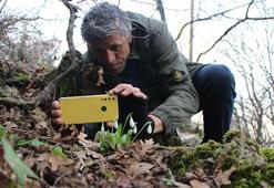 Bu topraklar servet saklıyor! Anadolu’nun gizli hazinesi ortaya çıktı