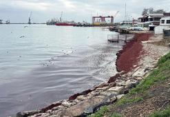Tekirdağ'da poyrazdan sonra deniz kıyıları kırmızı renge büründü