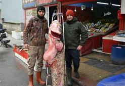 Kilosu 500 lira! Edirne'de Yakalanan 102 Kiloluk Nehir Canavarı Kapış Kapış Gidiyor