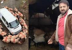 Trabzon’da ilginç görüntüler!