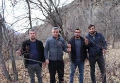 Erzurum'da alışılmadık görüntü! Kış ortasında dalından meyve yiyorlar