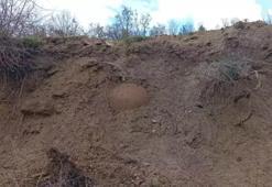 Denizli'de tesadüfen ortaya çıktı: Toprak kaydı, tarihi küp heyecan yarattı!