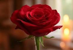 Sevgililer Günü Neden Kutlanır? 14 Şubat’ın Önemi, Tarihi ve İlk Ortaya Çıkış Hikayesi