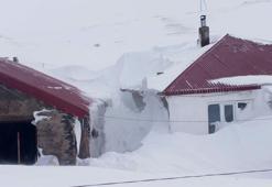 Ağrı Taşlıçay'da evler kar kütlelerinin arasında adeta kayboldu