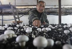 Altınlarını bozdurup bu işe girdi! Ahırda üretmeye başladı şimdi herkes peşinde