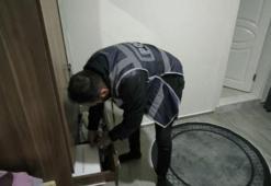 6 ilde vize dolandırıcılığı operasyonunda 16 şüpheliden 12’si tutuklandı