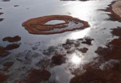 Dünyanın en eskisi Van'da! Profesör kötü haberi verdi: Maalesef tamamen kaybedeceğiz