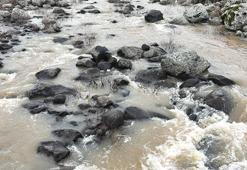 Şanlıurfa’da 3 yıllık hasret bitti! Kuruyan dereler coştu, çiftçinin yüzü güldü