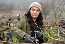 Manisa'da bağlar yeni sezona hazırlanıyor: Yeni sezonun kaderi bu dallarda! Erkekler kesiyor, kadınlar bağlıyor