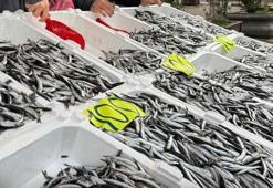 Sevgililer Günü'ne özel hamsi fiyatlarını indirdi! Vatandaşlar tezgaha akın etti
