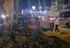 Otomobil refüjdeki ağaca çarptı, 1 kişi yaralandı