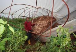 Kumluca'da heyelan evlerin duvarlarını çatlattı, seralara dev kayalar düştü