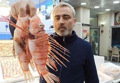 Tezgahta satışı yasak! Süveyş Kanalı'nın açılmasıyla Akdeniz'e gelen balığın özel müşterisi var