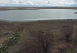 Konya'da 4 yıl önce kurumuştu! Doluluk oranı yüzde 40'a ulaştı