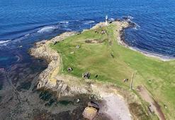 Hafta sonunun gözdesi oldu! Düğünlerden kampçılara herkes orada: Karadeniz’in ışığı Yason Burnu kış güneşiyle ziyaretçilerini ağırlıyor