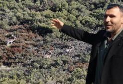 Sosyal medyada görüp oraya koştular! İstanbul’da görenleri hayran bırakan manzara