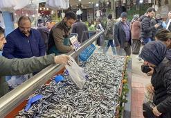 Tezgahlar hamsi ile şenlendi! Kilosu 200 liradan kapış kapış gidiyor
