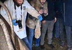 Bartın'da mezardan paket çıktı! Muhtar fark etti, imamlar şaşkına döndü! Mahalleli günlerdir konuşuyor