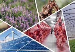 Denizli'de 82 milyonluk hibe desteği! Kırsal Kalkınmada yatırım rekoru...