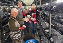 Samsun Çarşamba’da mantar hasadı etkinliği