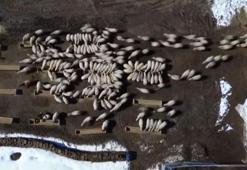 2 bin 601 işletmeye 50 milyon liralık yem desteği