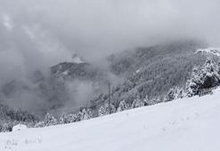 ABD’nin California eyaletinde çığ felaketi: 8 kayakçı öldü, 1 kayakçı kayıp