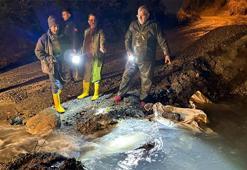 Dörtyol’da heyelan paniği: Yol ulaşıma kapandı