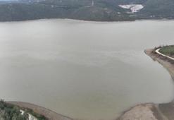 Bursa çiftçiyi sevindiren gelişme! Oran yüzde 50'ye yaklaştı: Verim artacak