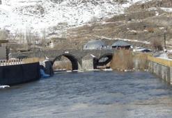 Kars'ta herkesi ters köşe yaptı: Bahar erkenden geldi