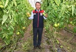 Denizli’nin 2025 bitkisel üretim tablosu yüz güldürdü: 1 milyar 158 milyon 132 bin TL rekor destek sağlandı