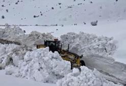 Bingöl Yayladere’de iki metreyi bulan karla mücadele