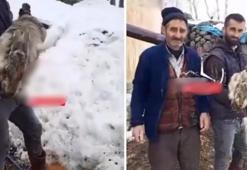 Ağrı'da ahıra giren çoban dondu kaldı! Böyle tavşanı daha önce görmedi
