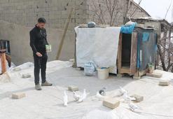 Babası bıraktı, o devraldı! Evinin damında besliyor, düğünlerden çıkıp onlara koşuyorlar