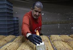 Gaziantep’te 11 ay beklenen gün geldi: Mahlep kokusu şehri sardı! Ramazan kahkesi satışa çıktı