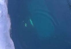 Rusya'da tur aracı Baykal Gölü'nde buzun altına düştü: 8 ölü