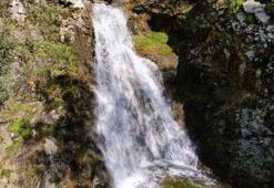 Karşıyaka'nın saklı cennetinde şelale yankılanıyor!
