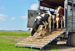 Malatya'da kursu başlıyor: 13 Mart son başvuru günü