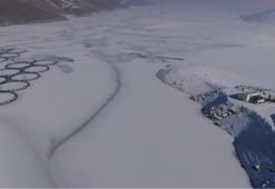 Van'da da kendini gösterdi: Dev barajlarda görülüyor!