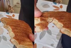 Bursa'da ekmeğin içinden çıkan şok etti